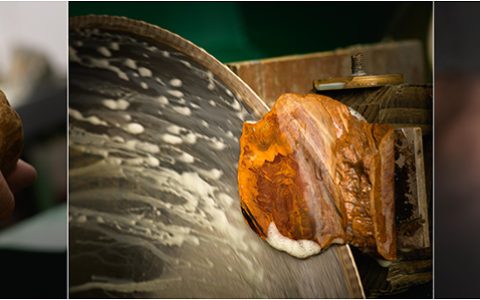 雅克德羅愛蝴蝶栗鼠紅，展開金色的翅膀