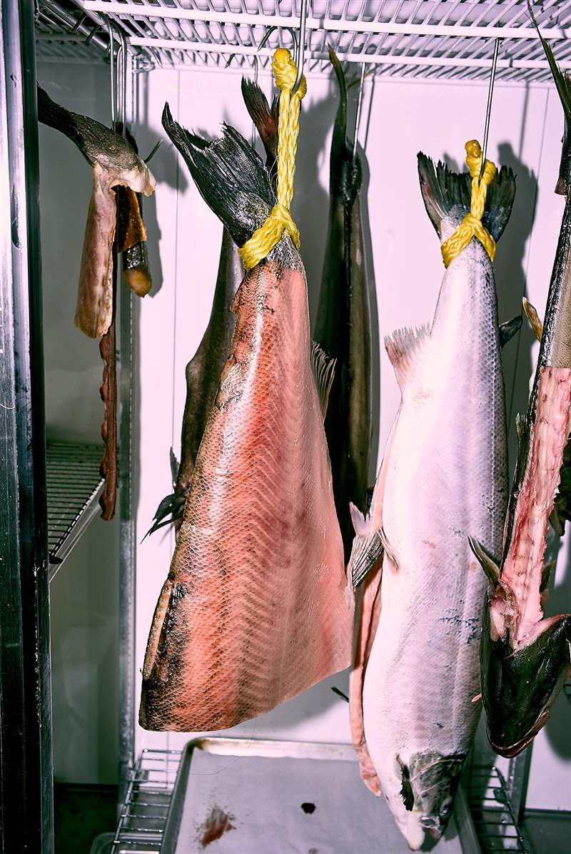 四加一這個(gè)魚(yú)販的手表系列經(jīng)得起粘液和膽量