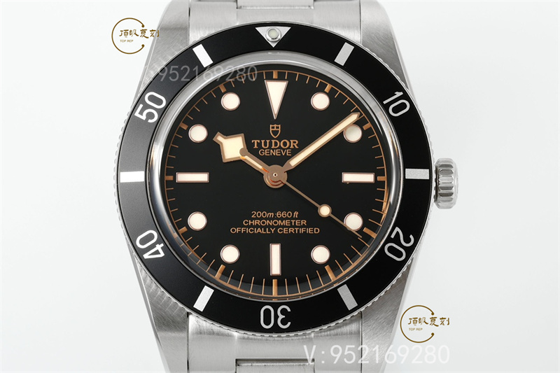 ZF廠帝舵碧灣M79000N-0001小鋼盾對比正品怎么樣