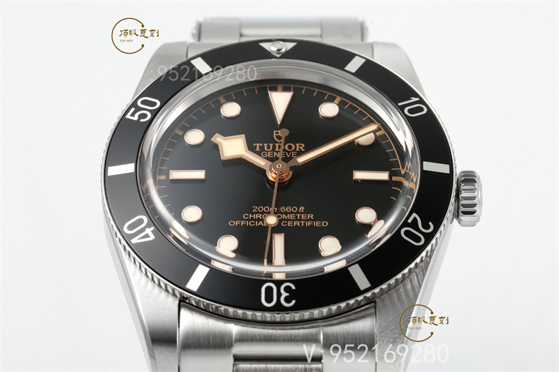 ZF廠帝舵碧灣M79000N-0001小鋼盾對比正品怎么樣